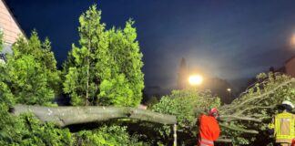 Feuerwehr Wülfrath: Unermüdlich an extremem Wochenende
