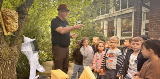 Warum wir Bienen lieben – und Wespen fürchten