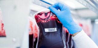Rotes Kreuz: Hitzewelle lässt Blutspenden einbrechen Viele Blutspender in NRW, Rheinland-Pfalz und dem Saarland hätten in den vergangenen Tagen Termine kurzfristig abgesagt, teilte der DRK-Blutspendedienst West mit. (Archivbild)