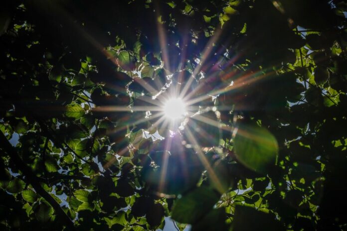 Kein "Hitzefrei" in Ministerien Diese Woche scheint die Sonne - und es wird sehr warm. (Illustration)