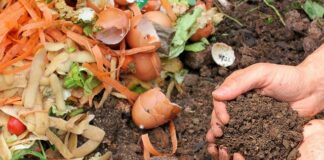 Bokashi und andere Kompost-Alternativen