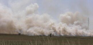 Feldbrand in Euskirchen – 10.000 Quadratmeter in Flammen Ein Hektar Getreidefeld in Flammen.
