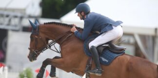 Kukuk holt erstmals Meister-Titel – Werth dominiert Dressur Endlich auch deutscher Meister: Olympiasieger Christian Kukuk auf Akarad Tivoli.
