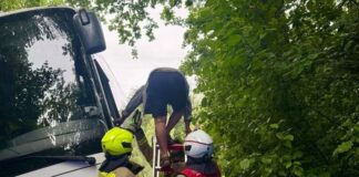 Bus bleibt in Wald stecken – Kinder müssen mit Taxis fahren Die anrückenden Rettungskräfte setzten eine Leiter ein, um den Fahrer sicher und unverletzt aus dem Bus zu holen.
