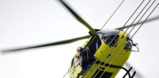 Lamellen an Blitzschutzseilen sollen Vögel warnen Vögel sollen die dünnen Blitzschutzseile zwischen den Masten mit Hilfe der schwarz-weißen Lamellen besser sehen können. Die Markierungen sollen das Kollisionsrisiko vermindern.