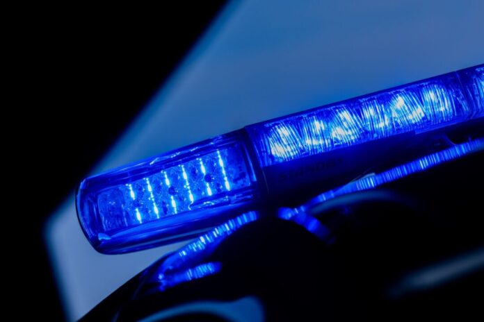 Blaulicht der Polizei Die Frau starb noch an der Unfallstelle. (Symbolbild)