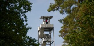 Waldbrandgefahr steigt rasant Der Feuerwachturm «Galgenberg» ragt im Waldgebiet Hohe Mark über die Wipfel der Bäume. (Archivbild)