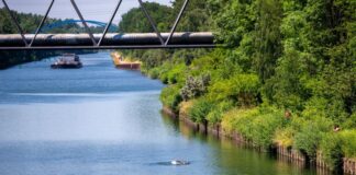 Jugendlicher beim Schwimmen im Rhein-Herne-Kanal umgekommen Ein 16-Jähriger ist am Samstagabend in den Rhein-Herne-Kanal gesprungen und dann untergegangen - Reanimationsversuche blieben vergeblich. (Illustration)