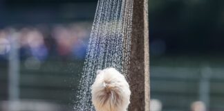 Temperaturen steigen am Freitag auf bis zu 40 Grad Abkühlung wird in den kommenden Tagen dringend benötigt. (Symbolbild)