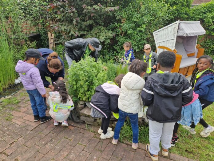 2026-07-03-Kräutergarten Jung und Alt taten sich zusammen, um Kräuter zu ernten. Foto: Stadt Ratingen