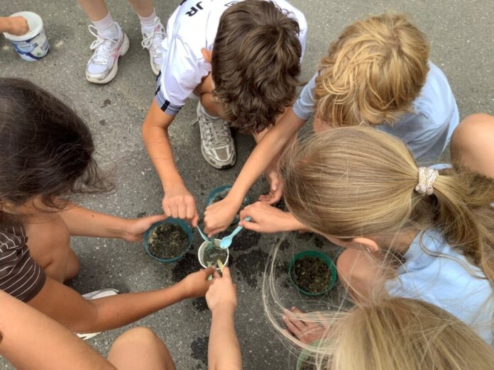 2026-07-08-Umweltschutzprojekt_Wilhelm-Busch-Schule Schülerinnen und Schüler der Klasse 4c der Wihelm-Busch-Schule bei der Herstellung von Samenkugeln. Foto: Petra Arnold