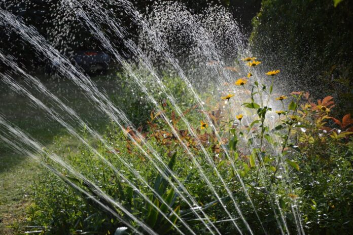 Ein sparsamer Umgang mit Wasser sollte auch bei der Gartenbewässerung beachtet werden Foto: Peggychoucair / Pixabay Ein sparsamer Umgang mit Wasser sollte auch bei der Gartenbewässerung beachtet werden Foto: Peggychoucair / Pixabay