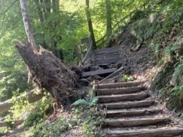 Weg im Neandertal nach Sturm gesperrt Die Treppe ist aktuell nicht passierbar und muss erst repariert werden. So lange bleibt der Weg gesperrt. Foto: Kreis Mettmann