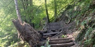 Weg im Neandertal nach Sturm gesperrt Die Treppe ist aktuell nicht passierbar und muss erst repariert werden. So lange bleibt der Weg gesperrt. Foto: Kreis Mettmann