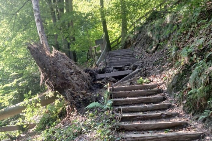 Die Treppe ist aktuell nicht passierbar und muss erst repariert werden. So lange bleibt der Weg gesperrt. Foto: Kreis Mettmann Die Treppe ist aktuell nicht passierbar und muss erst repariert werden. So lange bleibt der Weg gesperrt. Foto: Kreis Mettmann