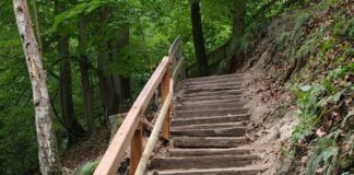 Wanderweg am Eiszeitlichen Wildgehege wieder freigegeben Ohne Einschränkungen kann man wieder durch das Neandertal Touren. Foto: Kreis ME