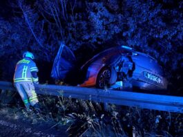 Unfall in Ratingen: Autofahrer wollte Wildschwein ausweichen Das Auto landete im Gestrüpp. Foto: Feuerwehr Ratingen