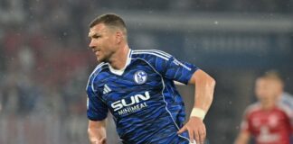 Noch ein Jahr Bundesliga: Dzeko vor Unterschrift auf Schalke Edin Dzeko soll auch in der Bundesliga für Schalke stürmen. (Archivbild)