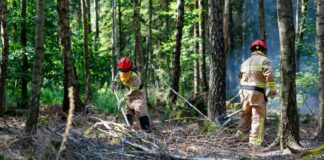 Waldbrand bei Meschede: Landwirte helfen mit Güllefässern Rund 80 Einsatzkräfte verhinderten die Ausbreitung des Waldbrands. (Symbolbild)