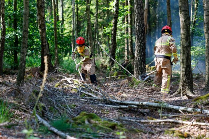 Vorstellung von Waldbrandlöschfahrzeugen in Nordrhein-Westfalen Rund 80 Einsatzkräfte verhinderten die Ausbreitung des Waldbrands. (Symbolbild)