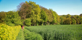 Lust auf Urlaub vor der eigenen Haustür?