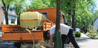 Wasser für Erkraths Stadtbäume Aufgrund der zunehmenden Trockenheit sind die städtischen Gärtnerinnen und Gärtner über den Sommer regelmäßig mit mobilen Wassertanks in Alt-Erkrath, Hochdahl und Unterfeldhaus unterwegs, um insbesondere junge Stadtbäume zu bewässern. Foto: Stadt Erkrath