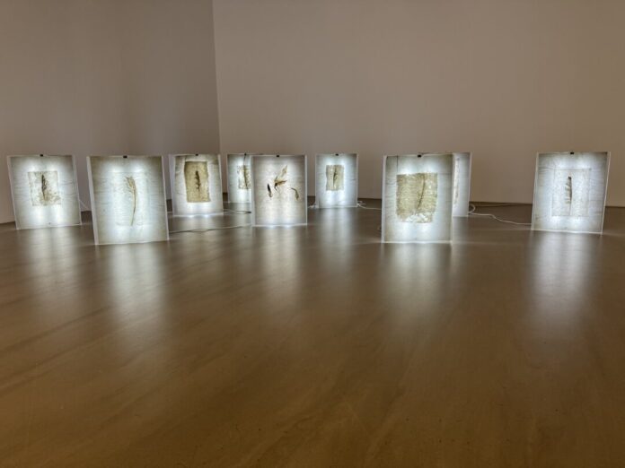 Kunstinstallation_2024_Spuren_von Katja Wickert Kreis Mettmann. Kreativität braucht Bühnen – eine davon öffnet sich jetzt im Kreis Mettmann. Künstlerinnen und Künstler, die ihre Werke in diesem Jahr präsentieren möchten, können sich ab sofort für das Ausstellungsformat neanderland ART 26 bewerben. Vom 28. November bis zum 17. Januar 2027 verwandelt sich der Kunstraum Gewerbepark Süd in Hilden (Hofstraße 64) in eine regionale Ausstellung. Teilnehmen können bildende Künstlerinnen und Künstler, die im Kreis Mettmann leben oder arbeiten, hier geboren wurden oder mindestens fünf Jahre nachweisbar im Kreis ansässig waren – vorausgesetzt, sie sind kontinuierlich künstlerisch tätig. Das Amt für Kultur und Tourismus der Kreisverwaltung Mettmann nimmt bis zum 13. September Bewerbungen entgegen. In diesem Jahr ist neu, dass das Bewerbungsverfahren vollständig online stattfindet. Alle Bewerberinnen und Bewerber müssen sich über das Online-Formular anmelden und dort Fotografien ihrer Werke in druckfähiger Auflösung hochladen. Eingereicht werden können abgeschlossene und ausstellungsfertige Arbeiten aus den letzten fünf Jahren, sofern diese nicht bereits im Rahmen der neanderland ART präsentiert wurden. Eine Jury entscheidet, welche Arbeiten ausgewählt und vom 28. November bis zum 17. Januar 2027 präsentiert werden. Alle Bewerberinnen und Bewerber werden bis zum 5. Oktober 2026 per E-Mail informiert, ob ihre Arbeit(en) angenommen wurden. Weitere Infos und das Online-Formular gibt es auf der Seite des Kreises unter neanderland ART / Kreisverwaltung Mettmann.