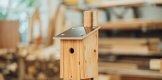 WFB Werkstätten fertigen Nistkästen für den Vogelschutz an Eine Meisenkiste, mit der die Werkstätten einen Beitrag zum Schutz heimischer Vogelarten leisten möchten. Foto: WFB Werkstätten