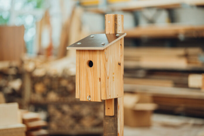 Eine Meisenkiste, mit der die Werkstätten einen Beitrag zum Schutz heimischer Vogelarten leisten möchten. Foto: WFB Werkstätten Eine Meisenkiste, mit der die Werkstätten einen Beitrag zum Schutz heimischer Vogelarten leisten möchten. Foto: WFB Werkstätten
