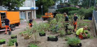 Ökologisches Pilotprojekt am Europaplatz in Hochdahl Europaplatz in Hochdahl mithilfe forstwirtschaftlicher Methoden neu gestaltet. Foto: Stadt Erkrath