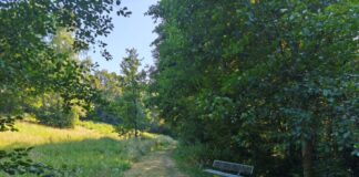 Auf der Wiese zwischen der Straße Brückchen und dem Mettmanner Bach soll das Taubenhaus gebaut werden. Foto: Kreisstadt Mettmann