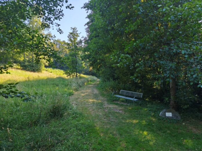 Wiese im Stadtwald zwischen der Straße Brückchen und dem Mettmanner Bach Auf der Wiese zwischen der Straße Brückchen und dem Mettmanner Bach soll das Taubenhaus gebaut werden. Foto: Kreisstadt Mettmann