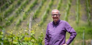 Jauch wird 70 – und meidet Rummel um sich Zwischen den Riesling-Reben: Abseits des Fernsehstudios ist Günther Jauch gerne auf seinem Weingut an der Saar. (Archivbild)