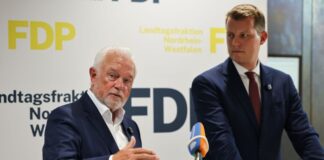 Kubicki und Höne wollen gemeinsam für FDP-Comeback kämpfen Die FDP will mit vereinten Kräften an einem Comeback arbeiten.