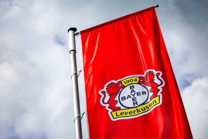 Bayer 04 Leverkusen Bayer Leverkusen hat den Außenverteidiger Luca Erlein von der TSG Hoffenheim verpflichtet. (Symbolbild)