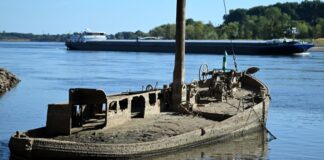 Rhein teils auf Rekordtief – Prognose leicht entspannt Ein Schiffswrack ist am Rhein zu sehen. Wegen des niedrigen Wasserstands ist der Aalschokker an der Mündung zum Silberseee wieder zu sehen.
