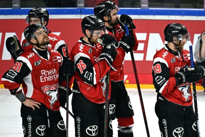 Kölner Haie Die Kölner Haie spielen erstmals seit zwölf Jahren in der Eishockey-Champions-League. (Archivbild)