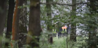 Waldbrand bei Köln gelöscht Der Brand habe sich in der Nacht nicht weiter ausgebreitet, teilte die Feuerwehr mit.