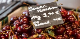 Sauerkirschen aus Deutschland haben es nach Angaben der NRW-Landwirtschaftskammer zunehmend schwer gegen die Konkurrenz aus der Türkei. (Archivbild)