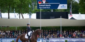 Werth reitet beim WM-Quali auf Platz zwei Isabell Werth ritt mit Viva Gold beim Grand Prix in Hagen auf Platz zwei. (Archivbild)