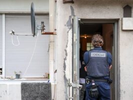 Ratten, Mietwucher, Betrug: Behörden decken Missstände auf In mehreren Städten von Nordrhein-Westfalen fanden Kontrollaktionen statt.