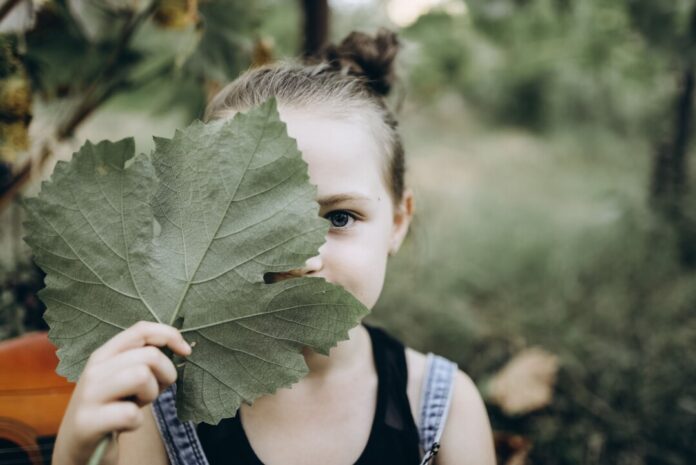 pexels-771703800-30963649
