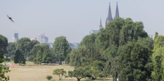 Temperaturen kratzen zum Ende der Woche an 30-Grad-Marke Die Höchsttemperaturen liegen laut DWD am Freitag bei 21 bis 26 Grad. (Symbolbild)