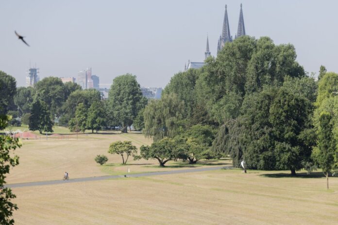 Hitze in Deutschland - Köln Die Höchsttemperaturen liegen laut DWD am Freitag bei 21 bis 26 Grad. (Symbolbild)