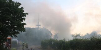 200 Heuballen in Flammen – Wald in unmittelbarer Nähe Die gepressten und teilweise mit Folie umwickelten Ballen müssten auseinandergezogen werden, was die Arbeit erschwere.