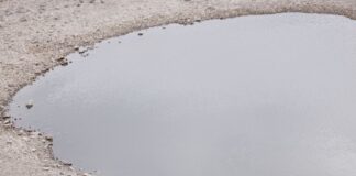 NRW will nach Hitzewelle Klimaschutz weiter verstärken Die NRW-Landesregierung sieht weiteren Handlungsbedarf bei der Anpassung an den Klimawandel.