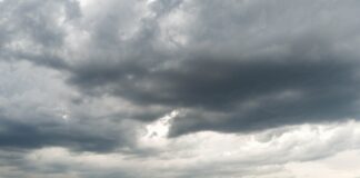 «Raps von Hagel und Sturm abrasiert» – Millionenschäden Zahlreiche Felder wurden beschädigt. (Archivbild)