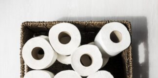 Haushalt: Warum Recyclingpapier in Küche und Bad die bessere Wahl ist Wälder schützen statt ins Klo spülen - Recyclingrollen zu verwenden, hilft der Umwelt. Foto: VZ NRW/adpic