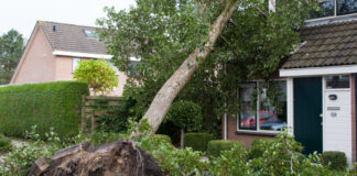 Verbraucherschützer: Unwetterschäden schnell der Versicherung melden Was zu tun ist, wenn Gewitter mit Sturm, Starkregen und Hagel üble Folgen haben, erklärt die Verbraucherzentrale NRW. Foto: VZ NRW/Adpic