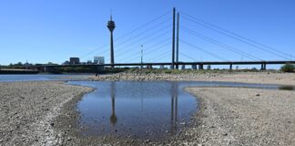 Negativer Pegelstand des Rheins in Düsseldorf Der Rheinturm spiegelt sich bei niedrigem Wasserstand auf dem Rhein in einer Lache. (Archivbild)